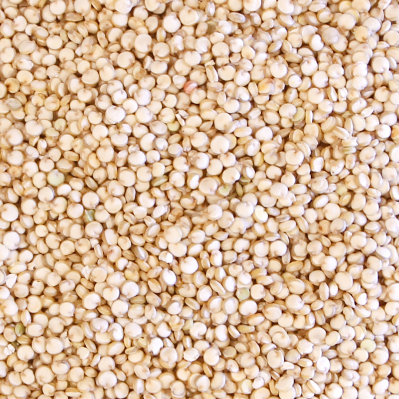 Quinoa Real alba, certificata bio 500g Primeal